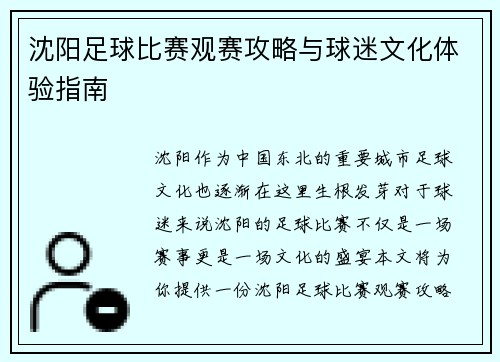 沈阳足球比赛观赛攻略与球迷文化体验指南